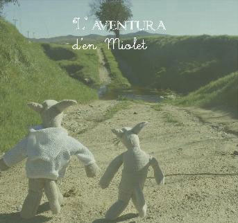  aventura
